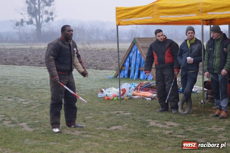 Zdjęcie w galerii na portalu naszraciborz.pl: Hervé Mavuanga - zaklinacz psich umysłów. Jeden z najlepszych trenerów na świecie szkolił w powiecie raciborskim wiadomości z regionu