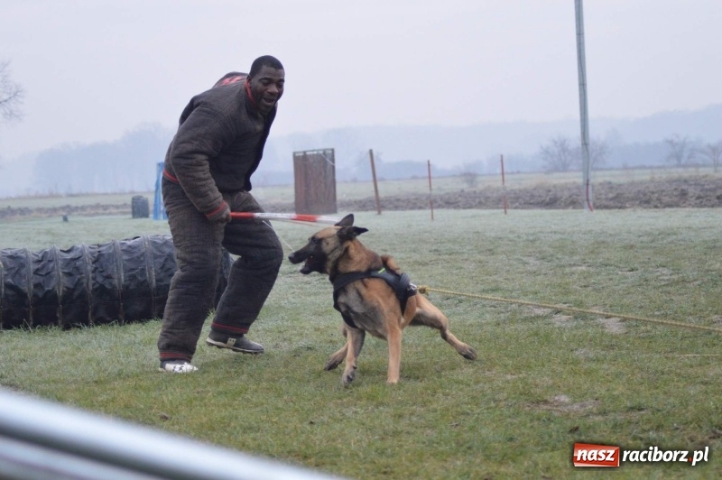 Zdjęcie w galerii na portalu naszraciborz.pl: Hervé Mavuanga - zaklinacz psich umysłów. Jeden z najlepszych trenerów na świecie szkolił w powiecie raciborskim wiadomości z regionu