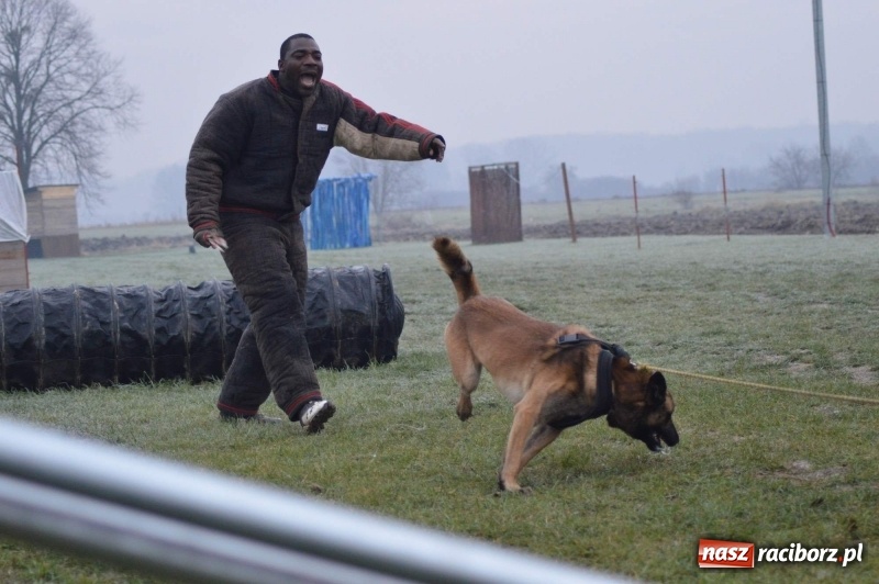 Zdjęcie w galerii na portalu naszraciborz.pl: Hervé Mavuanga - zaklinacz psich umysłów. Jeden z najlepszych trenerów na świecie szkolił w powiecie raciborskim wiadomości z regionu