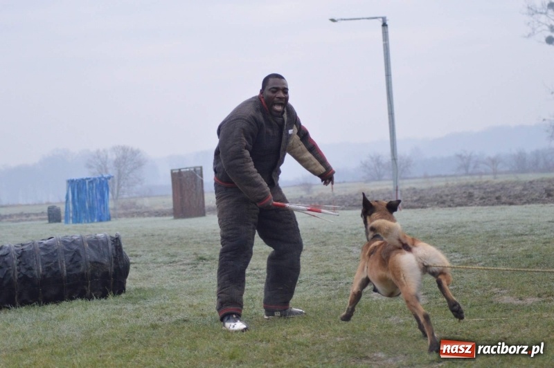 Zdjęcie w galerii na portalu naszraciborz.pl: Hervé Mavuanga - zaklinacz psich umysłów. Jeden z najlepszych trenerów na świecie szkolił w powiecie raciborskim wiadomości z regionu