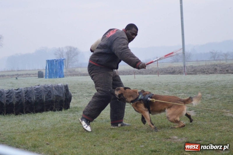 Zdjęcie w galerii na portalu naszraciborz.pl: Hervé Mavuanga - zaklinacz psich umysłów. Jeden z najlepszych trenerów na świecie szkolił w powiecie raciborskim wiadomości z regionu