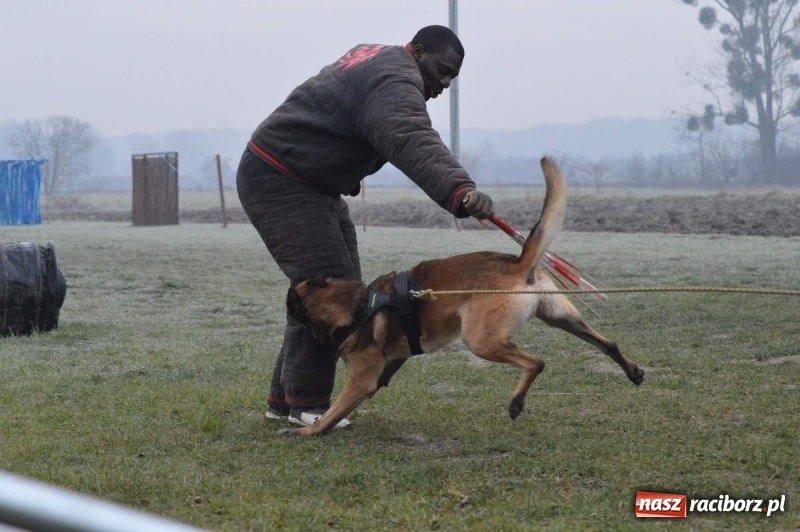 Zdjęcie w galerii na portalu naszraciborz.pl: Hervé Mavuanga - zaklinacz psich umysłów. Jeden z najlepszych trenerów na świecie szkolił w powiecie raciborskim wiadomości z regionu
