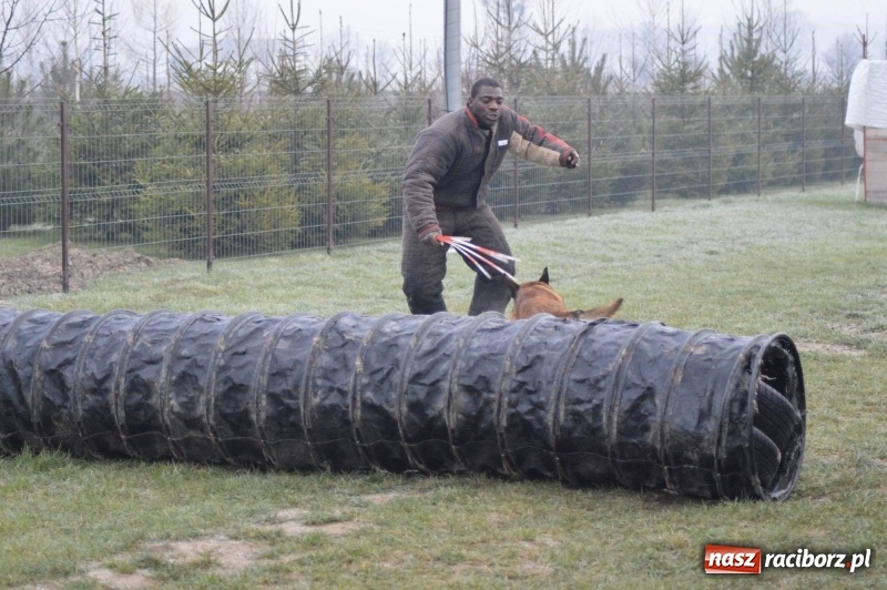Zdjęcie w galerii na portalu naszraciborz.pl: Hervé Mavuanga - zaklinacz psich umysłów. Jeden z najlepszych trenerów na świecie szkolił w powiecie raciborskim wiadomości z regionu