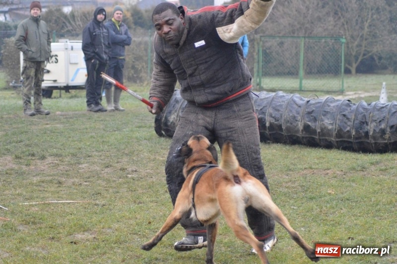 Zdjęcie w galerii na portalu naszraciborz.pl: Hervé Mavuanga - zaklinacz psich umysłów. Jeden z najlepszych trenerów na świecie szkolił w powiecie raciborskim wiadomości z regionu
