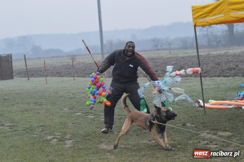 Zdjęcie w galerii na portalu naszraciborz.pl: Hervé Mavuanga - zaklinacz psich umysłów. Jeden z najlepszych trenerów na świecie szkolił w powiecie raciborskim wiadomości z regionu
