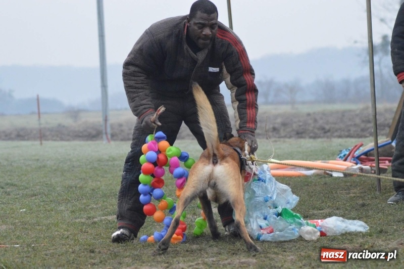 Zdjęcie w galerii na portalu naszraciborz.pl: Hervé Mavuanga - zaklinacz psich umysłów. Jeden z najlepszych trenerów na świecie szkolił w powiecie raciborskim wiadomości z regionu