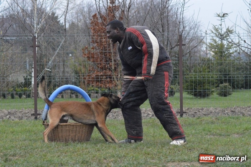 Zdjęcie w galerii na portalu naszraciborz.pl: Hervé Mavuanga - zaklinacz psich umysłów. Jeden z najlepszych trenerów na świecie szkolił w powiecie raciborskim wiadomości z regionu