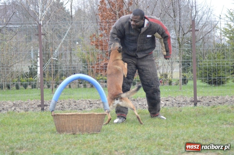 Zdjęcie w galerii na portalu naszraciborz.pl: Hervé Mavuanga - zaklinacz psich umysłów. Jeden z najlepszych trenerów na świecie szkolił w powiecie raciborskim wiadomości z regionu