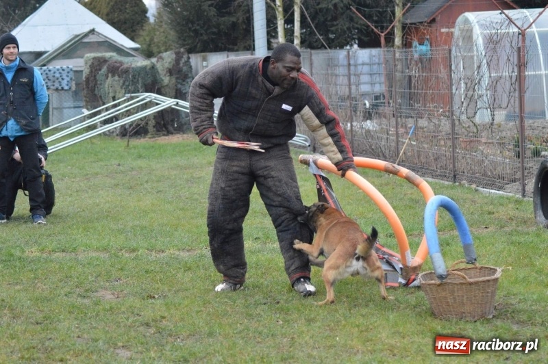 Zdjęcie w galerii na portalu naszraciborz.pl: Hervé Mavuanga - zaklinacz psich umysłów. Jeden z najlepszych trenerów na świecie szkolił w powiecie raciborskim wiadomości z regionu