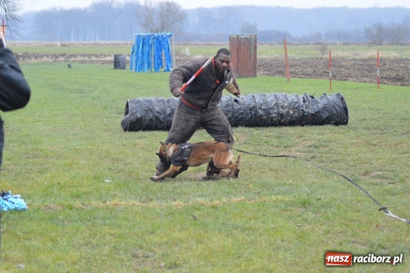 Zdjęcie w galerii na portalu naszraciborz.pl: Hervé Mavuanga - zaklinacz psich umysłów. Jeden z najlepszych trenerów na świecie szkolił w powiecie raciborskim wiadomości z regionu