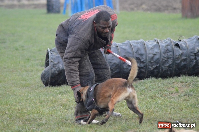 Zdjęcie w galerii na portalu naszraciborz.pl: Hervé Mavuanga - zaklinacz psich umysłów. Jeden z najlepszych trenerów na świecie szkolił w powiecie raciborskim wiadomości z regionu
