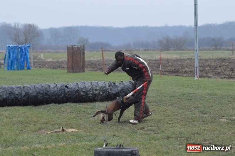 Zdjęcie w galerii na portalu naszraciborz.pl: Hervé Mavuanga - zaklinacz psich umysłów. Jeden z najlepszych trenerów na świecie szkolił w powiecie raciborskim wiadomości z regionu