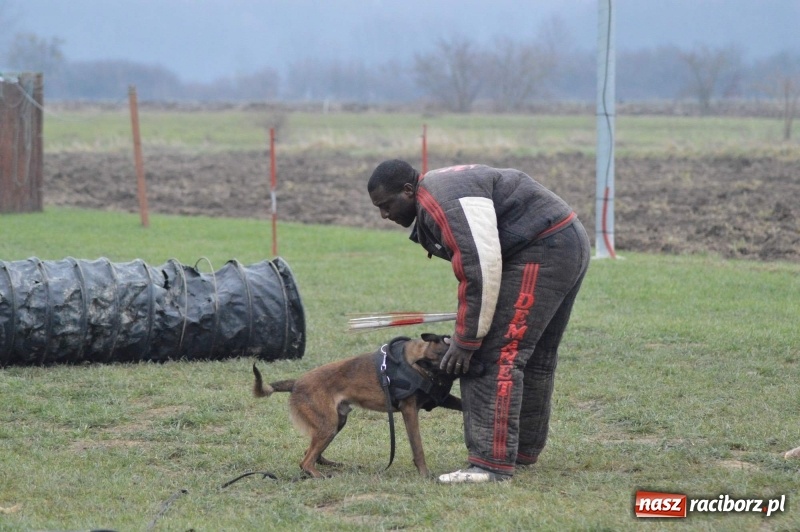 Zdjęcie w galerii na portalu naszraciborz.pl: Hervé Mavuanga - zaklinacz psich umysłów. Jeden z najlepszych trenerów na świecie szkolił w powiecie raciborskim wiadomości z regionu