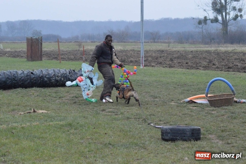 Zdjęcie w galerii na portalu naszraciborz.pl: Hervé Mavuanga - zaklinacz psich umysłów. Jeden z najlepszych trenerów na świecie szkolił w powiecie raciborskim wiadomości z regionu