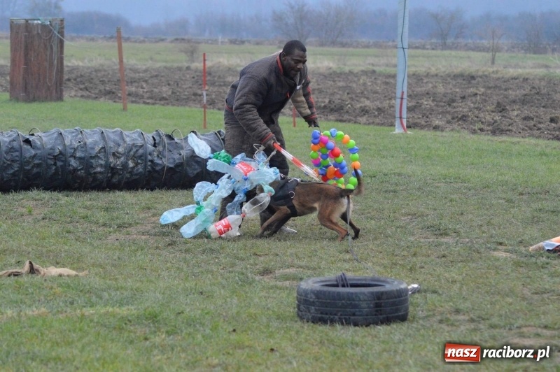Zdjęcie w galerii na portalu naszraciborz.pl: Hervé Mavuanga - zaklinacz psich umysłów. Jeden z najlepszych trenerów na świecie szkolił w powiecie raciborskim wiadomości z regionu