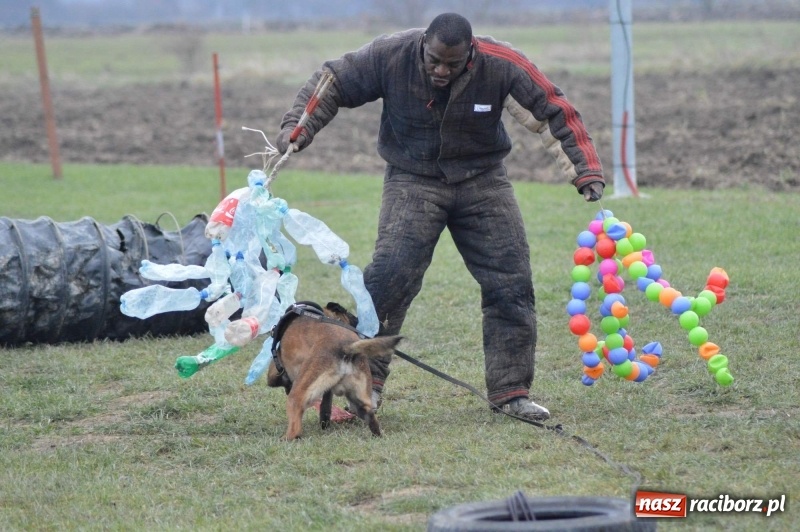 Zdjęcie w galerii na portalu naszraciborz.pl: Hervé Mavuanga - zaklinacz psich umysłów. Jeden z najlepszych trenerów na świecie szkolił w powiecie raciborskim wiadomości z regionu
