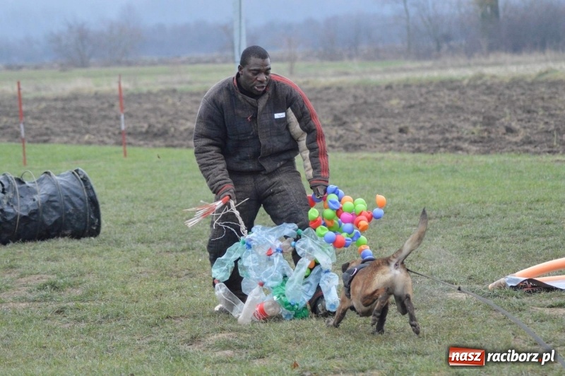 Zdjęcie w galerii na portalu naszraciborz.pl: Hervé Mavuanga - zaklinacz psich umysłów. Jeden z najlepszych trenerów na świecie szkolił w powiecie raciborskim wiadomości z regionu