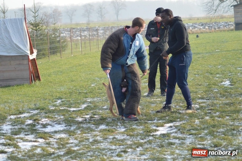 Zdjęcie w galerii na portalu naszraciborz.pl: Hervé Mavuanga - zaklinacz psich umysłów. Jeden z najlepszych trenerów na świecie szkolił w powiecie raciborskim wiadomości z regionu