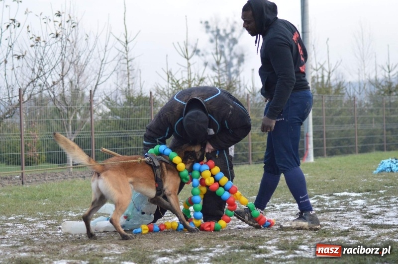 Zdjęcie w galerii na portalu naszraciborz.pl: Hervé Mavuanga - zaklinacz psich umysłów. Jeden z najlepszych trenerów na świecie szkolił w powiecie raciborskim wiadomości z regionu