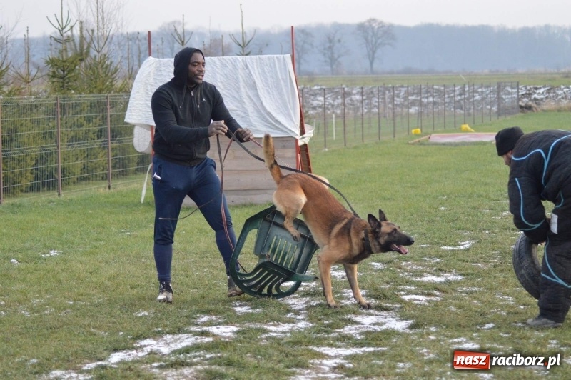 Zdjęcie w galerii na portalu naszraciborz.pl: Hervé Mavuanga - zaklinacz psich umysłów. Jeden z najlepszych trenerów na świecie szkolił w powiecie raciborskim wiadomości z regionu