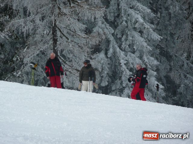 Zdjęcie w galerii na portalu naszraciborz.pl: Studenckie obozy zimowe wiadomości z regionu