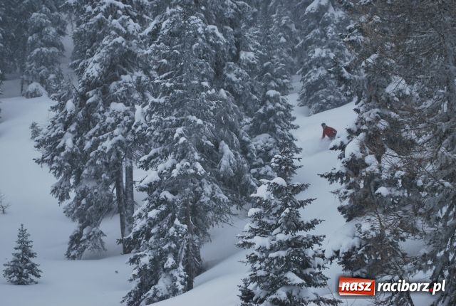 Zdjęcie w galerii na portalu naszraciborz.pl: Studenckie obozy zimowe wiadomości z regionu