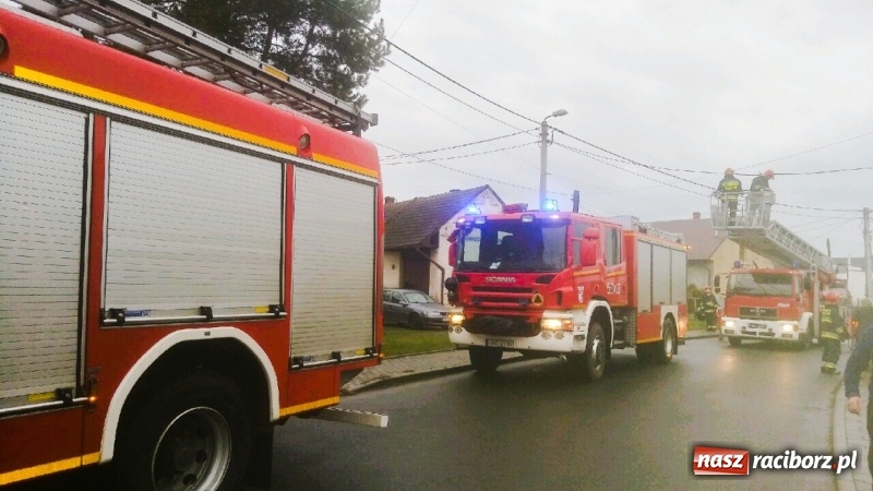 Zdjęcie w galerii na portalu naszraciborz.pl: Ewakuacja supermarketu, dachowanie i pożar świątecznych ozdób na Długiej  wiadomości z regionu