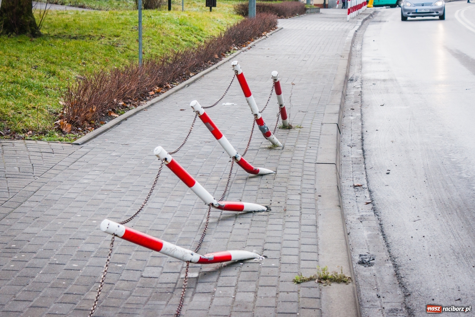 Zdjęcie w galerii na portalu naszraciborz.pl: Noworoczna szarża 24-latka z powiatu głubczyckiego. Tester wykazał narkotyki  wiadomości z regionu