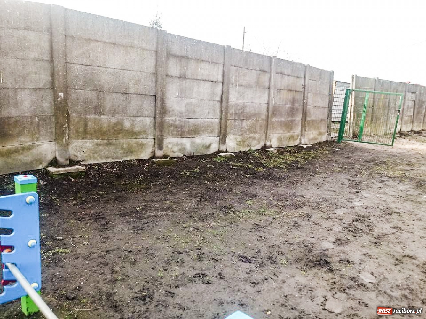 Zdjęcie w galerii na portalu naszraciborz.pl: Ten mur na Ostrogu czeka na artystów  wiadomości z regionu