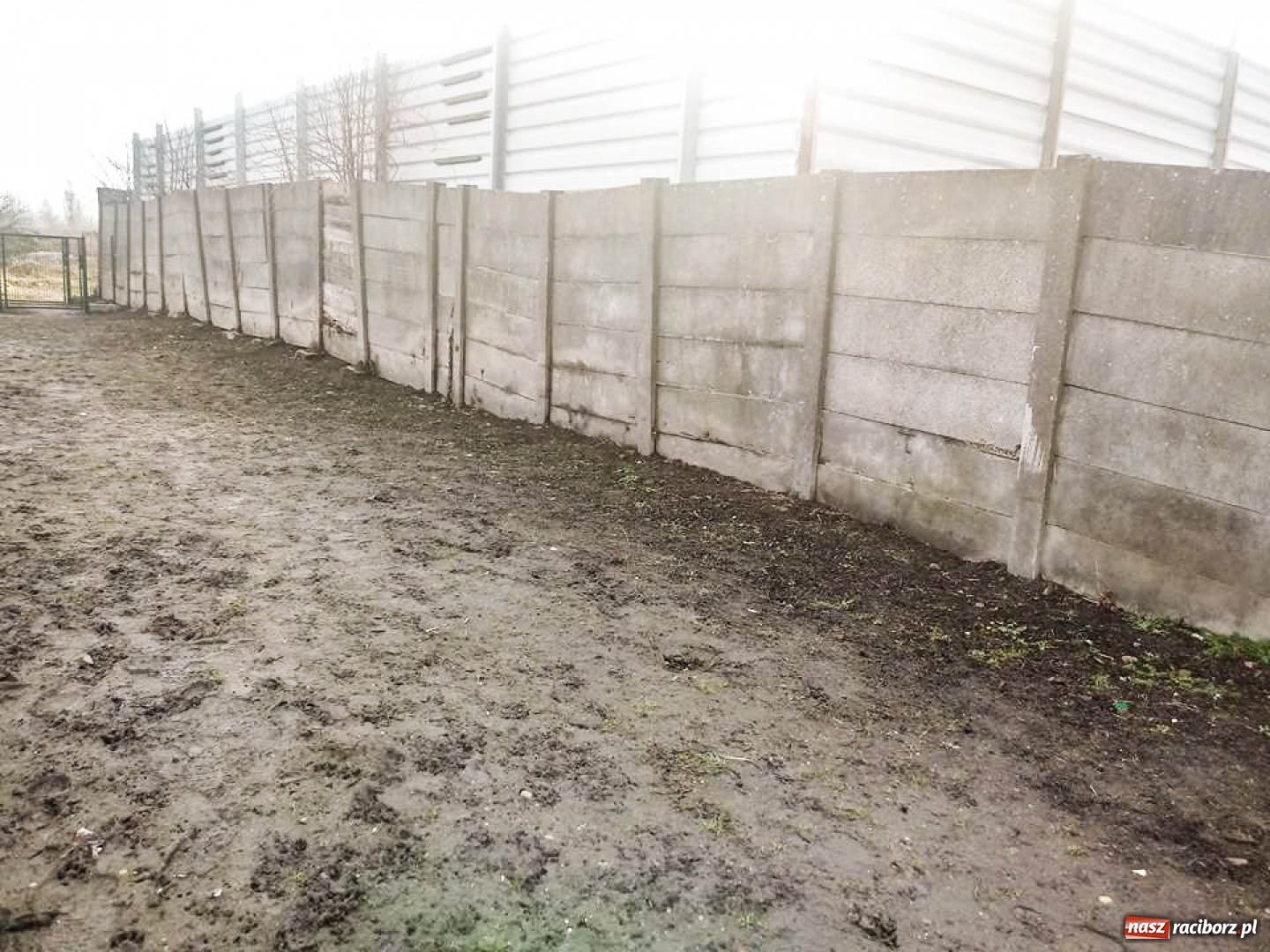 Zdjęcie w galerii na portalu naszraciborz.pl: Ten mur na Ostrogu czeka na artystów  wiadomości z regionu