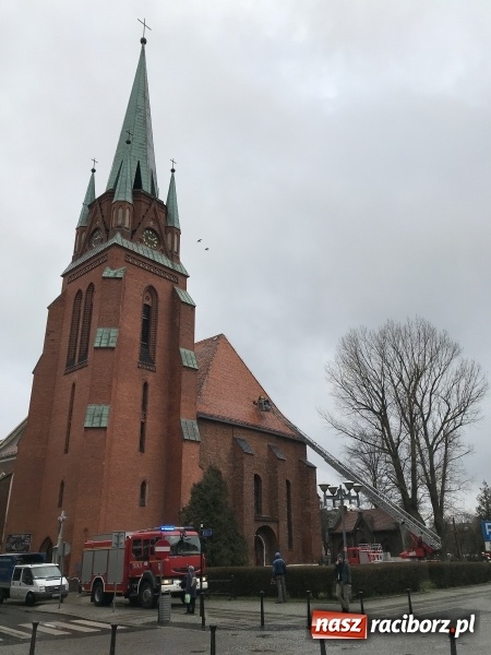Zdjęcie w galerii na portalu naszraciborz.pl: Dach kościoła farnego czeka remont wiadomości z regionu