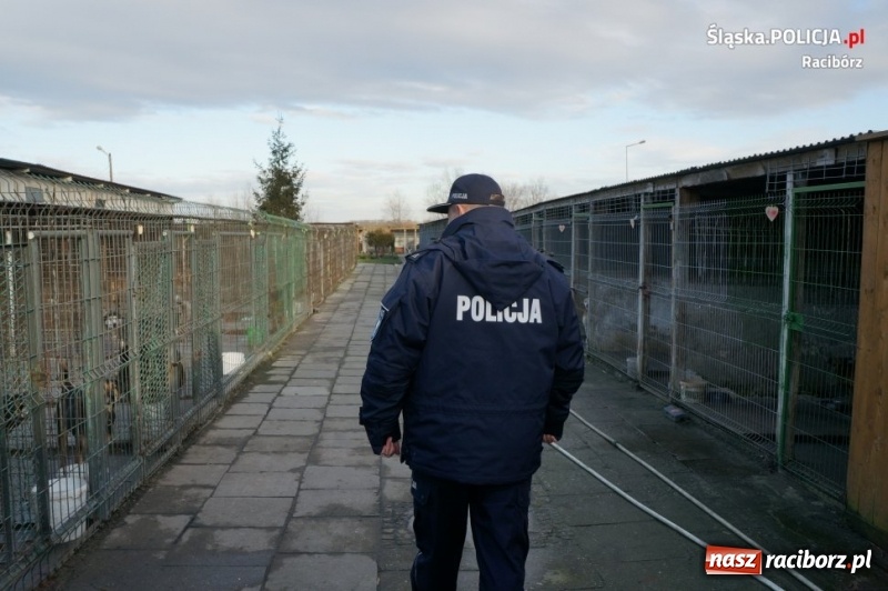 Zdjęcie w galerii na portalu naszraciborz.pl: Raciborscy policjanci i pracownicy komendy zaangażowali się w zbiórkę dla schroniska wiadomości z regionu