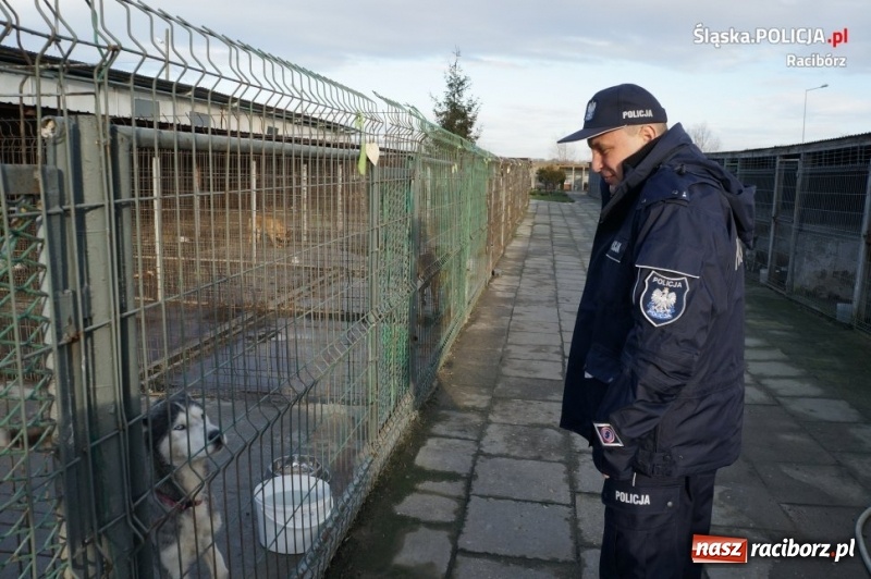 Zdjęcie w galerii na portalu naszraciborz.pl: Raciborscy policjanci i pracownicy komendy zaangażowali się w zbiórkę dla schroniska wiadomości z regionu
