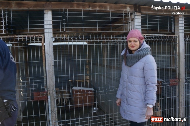 Zdjęcie w galerii na portalu naszraciborz.pl: Raciborscy policjanci i pracownicy komendy zaangażowali się w zbiórkę dla schroniska wiadomości z regionu