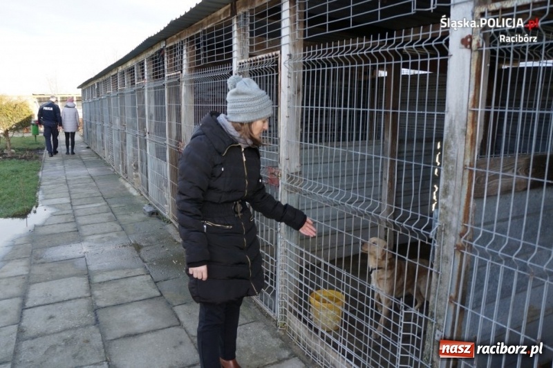 Zdjęcie w galerii na portalu naszraciborz.pl: Raciborscy policjanci i pracownicy komendy zaangażowali się w zbiórkę dla schroniska wiadomości z regionu
