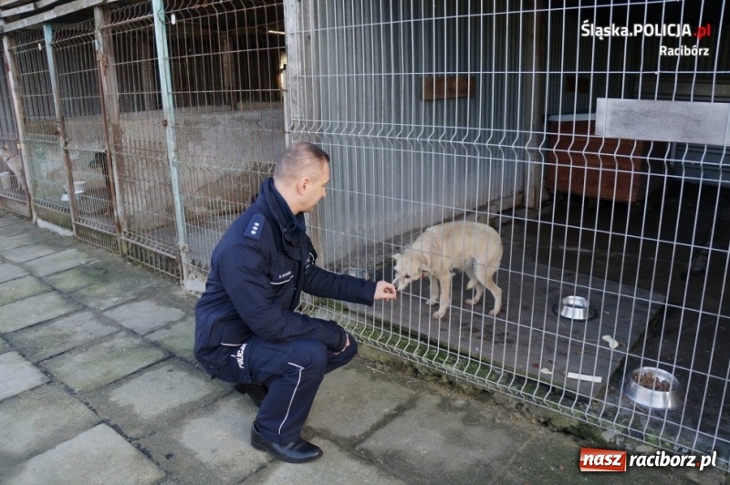 Zdjęcie w galerii na portalu naszraciborz.pl: Raciborscy policjanci i pracownicy komendy zaangażowali się w zbiórkę dla schroniska wiadomości z regionu