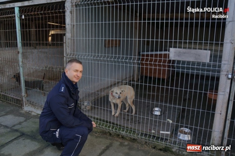 Zdjęcie w galerii na portalu naszraciborz.pl: Raciborscy policjanci i pracownicy komendy zaangażowali się w zbiórkę dla schroniska wiadomości z regionu