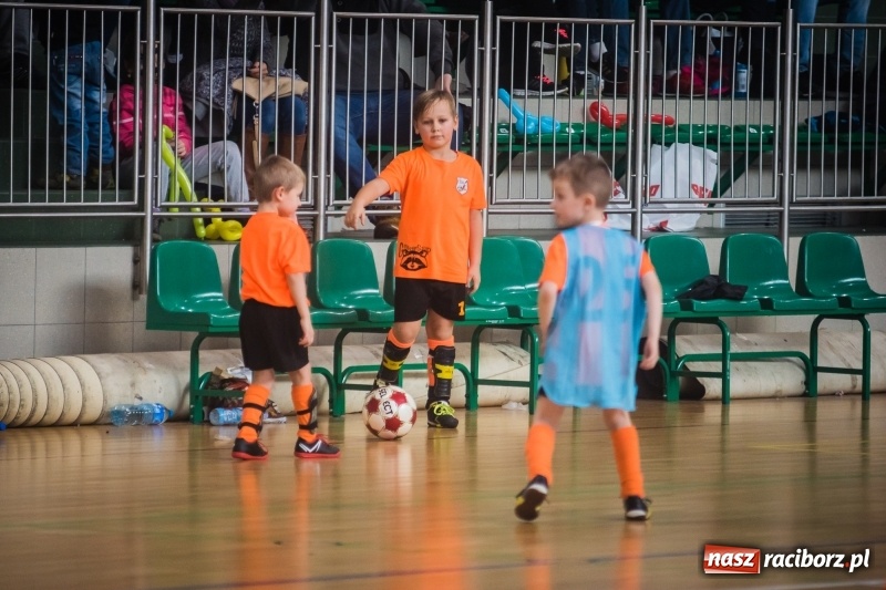 Zdjęcie w galerii na portalu naszraciborz.pl: LKS 05 Tworków zwycięzcą noworocznego turnieju halowej piłki nożnej wiadomości z regionu