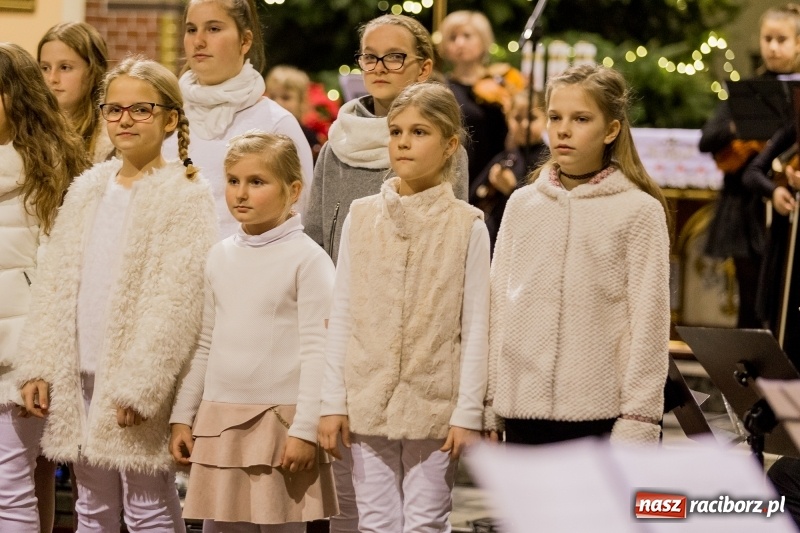 Zdjęcie w galerii na portalu naszraciborz.pl: Koncert kolęd i pieśni bożonarodzeniowych w kościele św. Mikołaja wiadomości z regionu