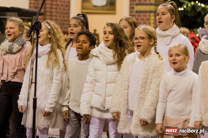 Zdjęcie w galerii na portalu naszraciborz.pl: Koncert kolęd i pieśni bożonarodzeniowych w kościele św. Mikołaja wiadomości z regionu