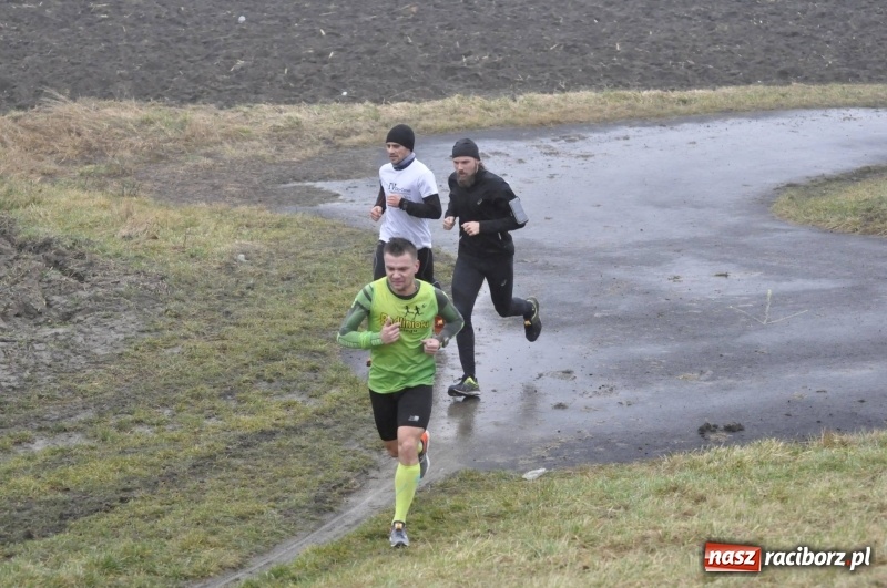 Zdjęcie w galerii na portalu naszraciborz.pl: IV Bieg Nadodrzański zainaugurował cykl 4BiegiRacibórz FOTO i WIDEO wiadomości z regionu