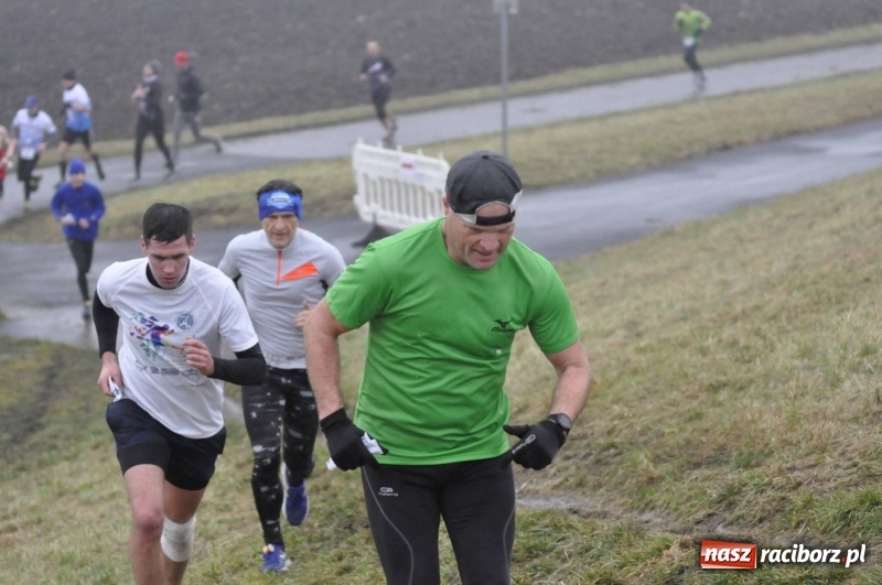 Zdjęcie w galerii na portalu naszraciborz.pl: IV Bieg Nadodrzański zainaugurował cykl 4BiegiRacibórz FOTO i WIDEO wiadomości z regionu