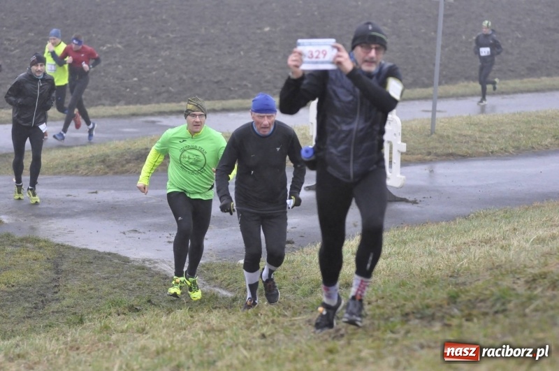 Zdjęcie w galerii na portalu naszraciborz.pl: IV Bieg Nadodrzański zainaugurował cykl 4BiegiRacibórz FOTO i WIDEO wiadomości z regionu