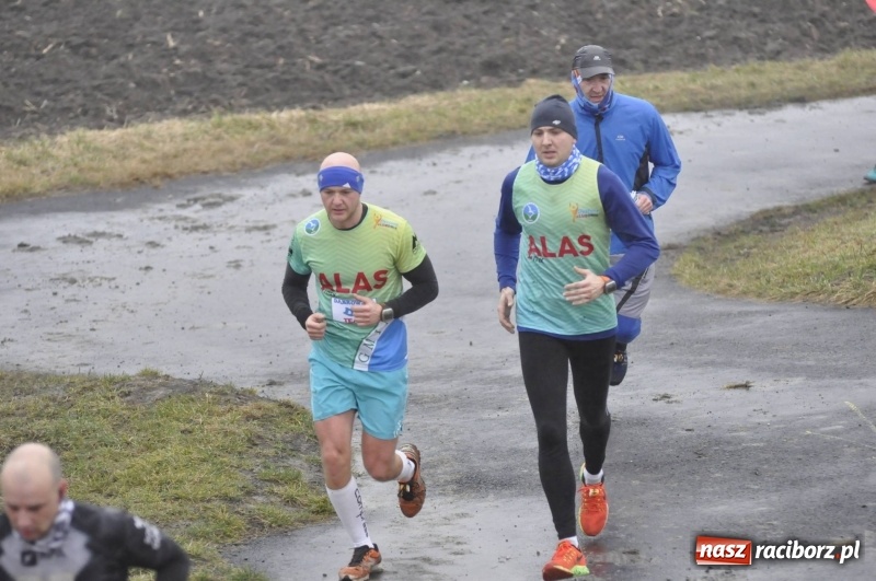 Zdjęcie w galerii na portalu naszraciborz.pl: IV Bieg Nadodrzański zainaugurował cykl 4BiegiRacibórz FOTO i WIDEO wiadomości z regionu
