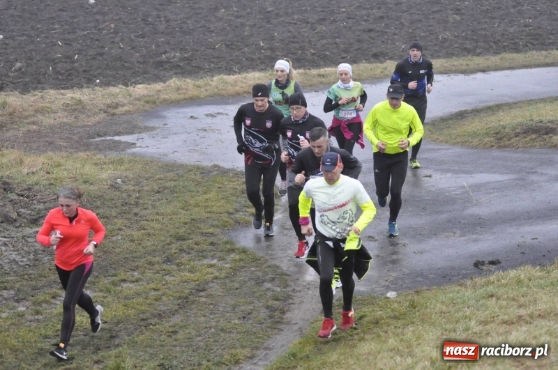 Zdjęcie w galerii na portalu naszraciborz.pl: IV Bieg Nadodrzański zainaugurował cykl 4BiegiRacibórz FOTO i WIDEO wiadomości z regionu