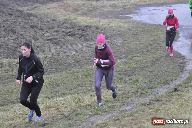 Zdjęcie w galerii na portalu naszraciborz.pl: IV Bieg Nadodrzański zainaugurował cykl 4BiegiRacibórz FOTO i WIDEO wiadomości z regionu