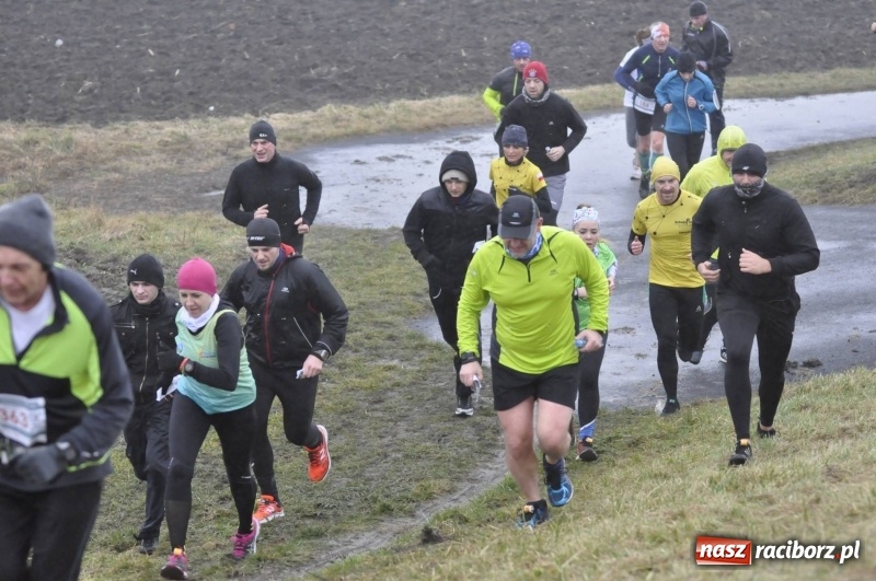 Zdjęcie w galerii na portalu naszraciborz.pl: IV Bieg Nadodrzański zainaugurował cykl 4BiegiRacibórz FOTO i WIDEO wiadomości z regionu