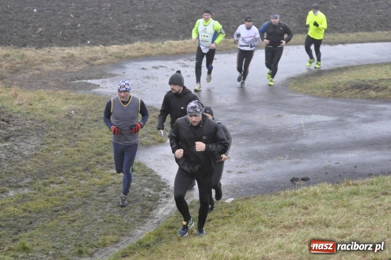 Zdjęcie w galerii na portalu naszraciborz.pl: IV Bieg Nadodrzański zainaugurował cykl 4BiegiRacibórz FOTO i WIDEO wiadomości z regionu