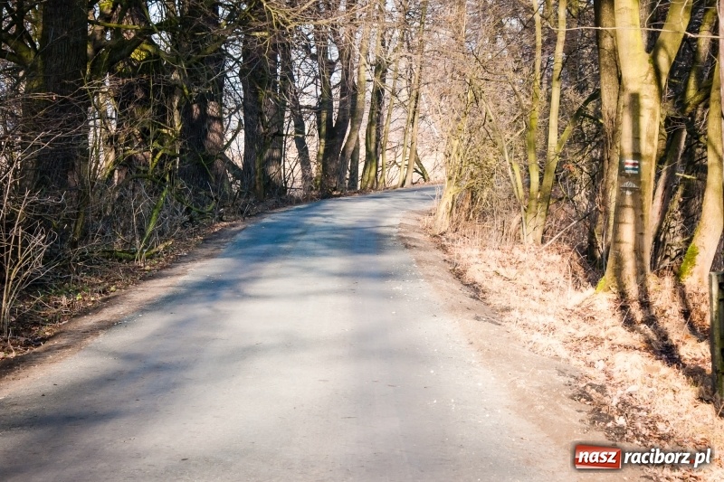 Zdjęcie w galerii na portalu naszraciborz.pl: Ścieżki w Łężczoku zostały już odnowione  wiadomości z regionu