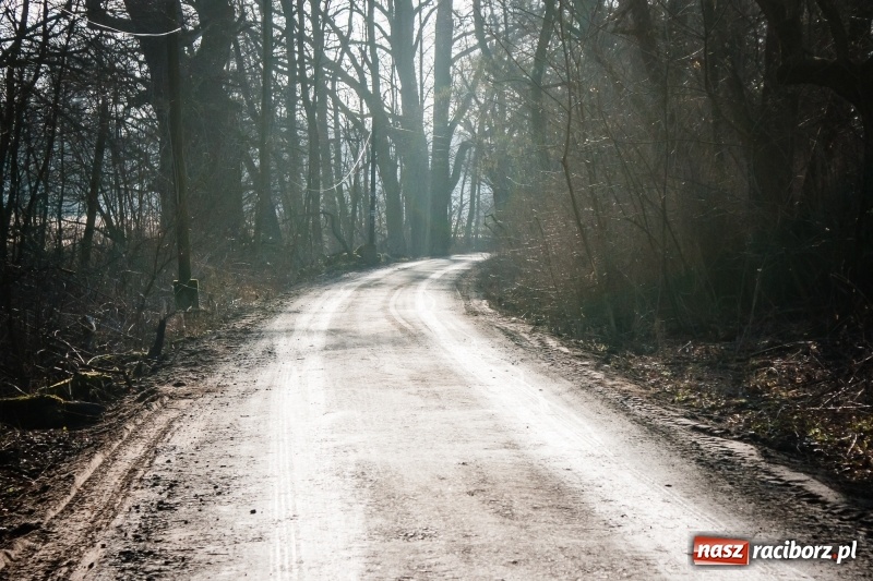 Zdjęcie w galerii na portalu naszraciborz.pl: Ścieżki w Łężczoku zostały już odnowione  wiadomości z regionu